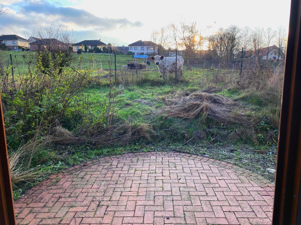 Von Alvensleben *